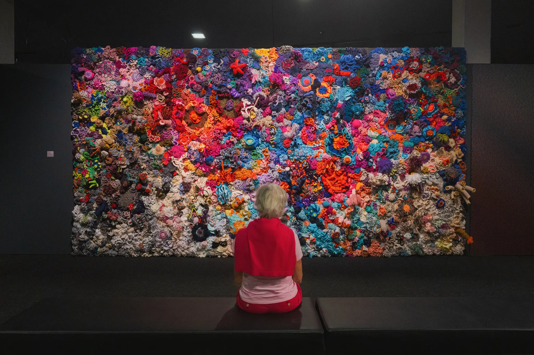 The Crochet Coral Reef Keeps Spawning, Hyperbolically